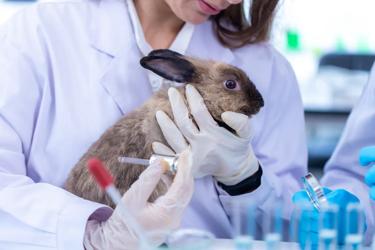 Animal rights groups cautiously optimistic on EU roadmap to end “cruel ...