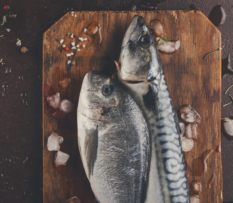 Adisseo and Calysta introduce alternative protein FeedKind produced via ...