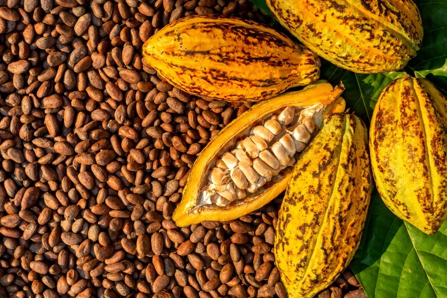 AAK launches cocoa butter equivalent amid cocoa price volatility and ...