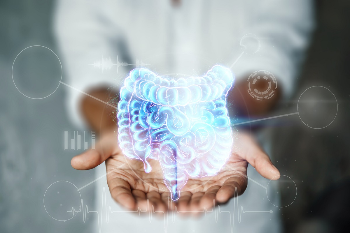 Diagram of a human gut