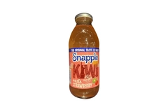Snapple Snapple