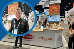 Image Hans Brand, Revyve