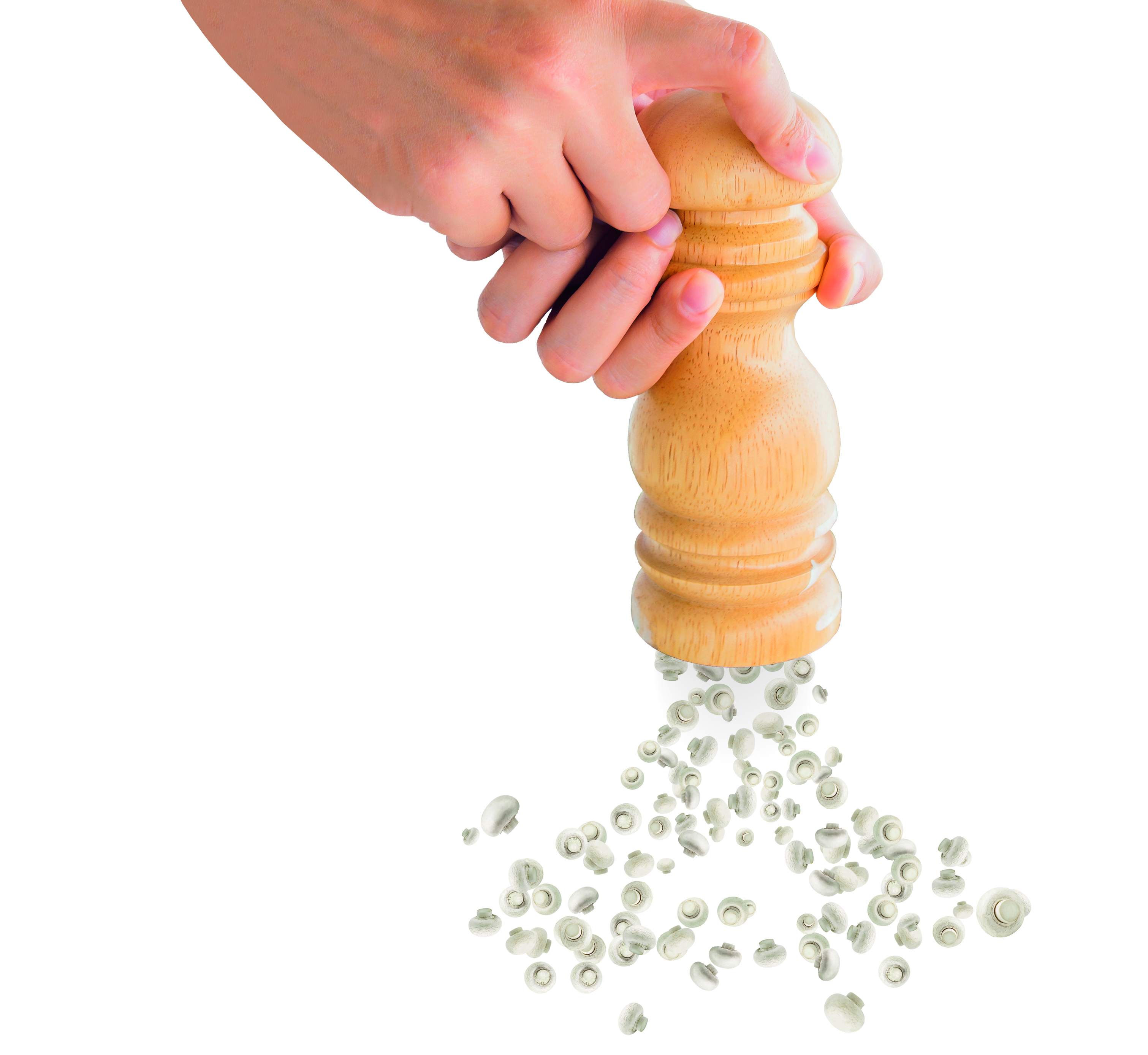 Food Ingredients First Food Ingredients First logo