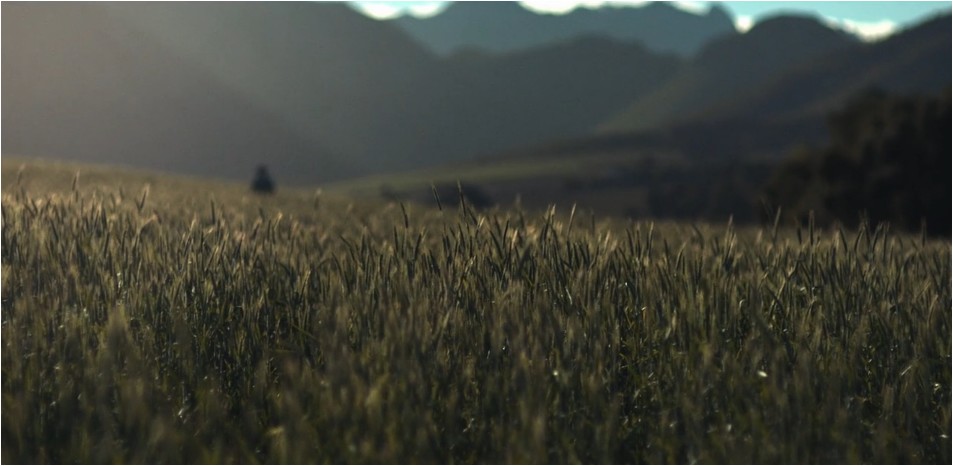 Video Background Video Background